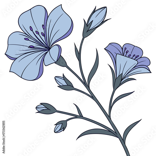 bluebell with leaves