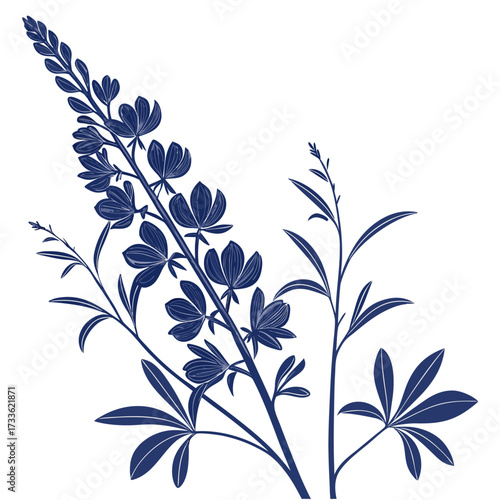 blue false indigo vector