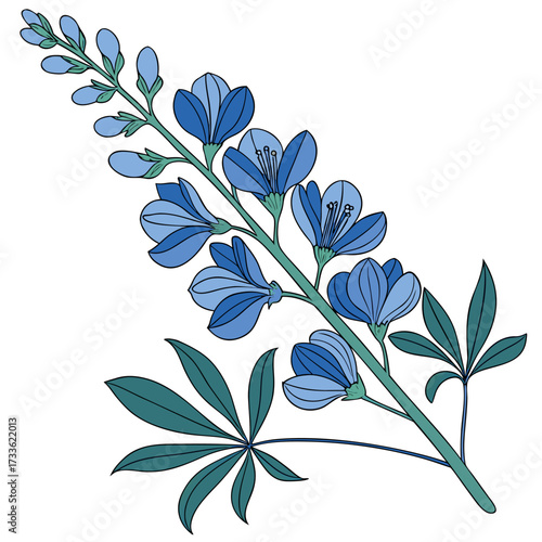 blue false indigo vector
