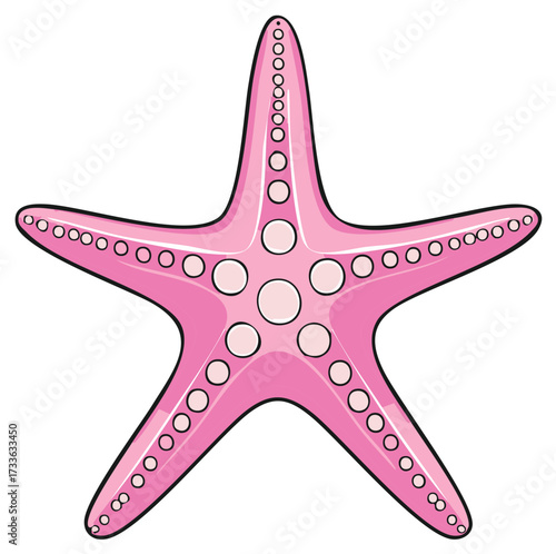 Pink starfish illustration with decorative spots, isolated sea life element
