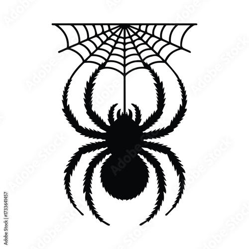 Silhouette of a large hairy spider hanging from its web on halloween silhouette