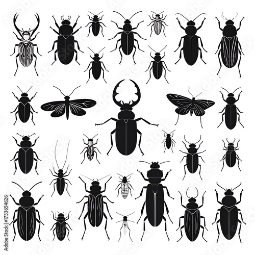 Black silhouettes of various insect types