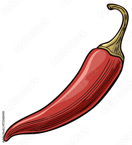 Spicy red hot chili pepper vector illustration in a cartoon style