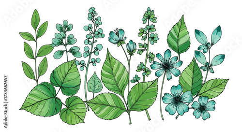 Green Botanical Illustration with Various Leaves and Flowers