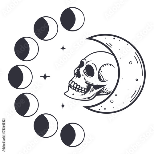 Skull and Moon Phases Celestial Illustration crescent moon