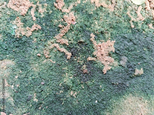 green paint texture
