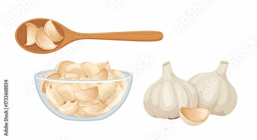 Vector illustration of whole garlic bulbs, a bowl of peeled cloves, and a wooden spoon with garlic.