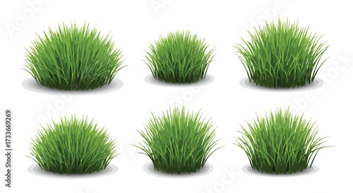 Set of realistic green grass bushes, decorative lawn elements for gardens, parks, and landscapes