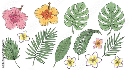 Tropical Foliage and Floral Set Hibiscus, Plumeria, and Palm Leaves