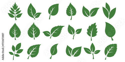 Set of green leaf icons in flat vector style, collection of various leaf shapes and silhouettes, simple botanical and nature symbols, isolated on white background,
