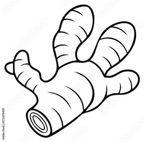 Black and white outline of a ginger root