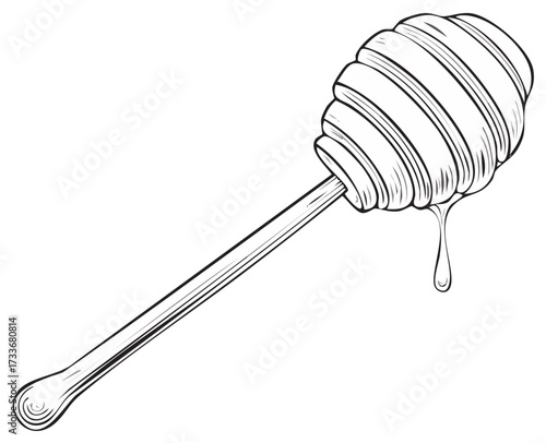 Honey dipper vector illustration. Honey dripping from wooden spoon