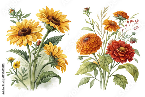 Vibrant Sunflower and Marigold Watercolor Illustration 