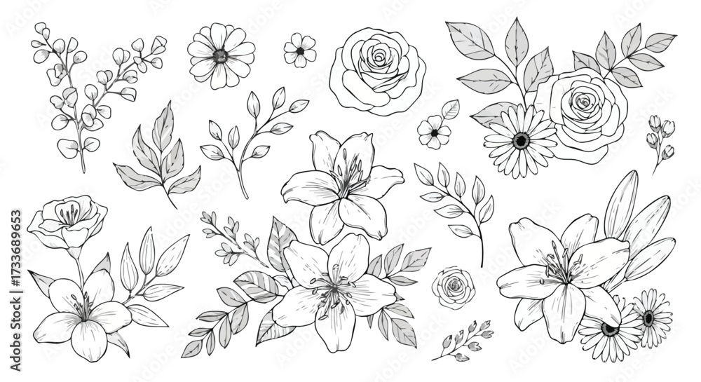 Fototapeta premium Detailed line art illustration of various flowers and foliage.