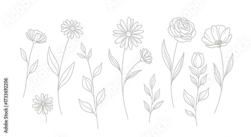 Elegant botanical line art illustration featuring various flower and leaf designs for creative