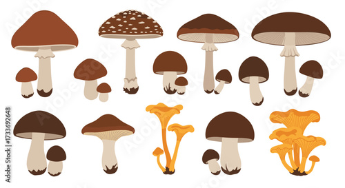 A collection of diverse pixel art mushrooms for your creative projects.