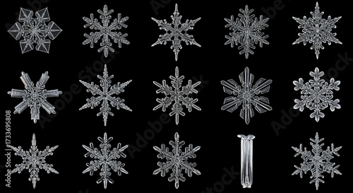 Detailed close-up of various intricate snowflake crystal formations against black background.