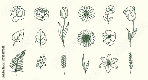 Botanical line art collection showcasing a variety of floral elements and leaf shapes