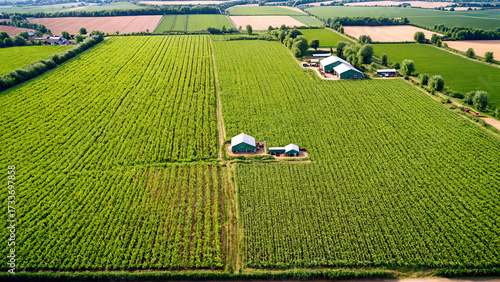 Vibrant green agricultural fields stretch towards the horizon, featuring modern farm buildings and lush crops under a clear sky