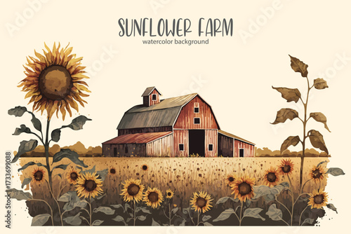 sunflower farm watercolor vector on isolated background