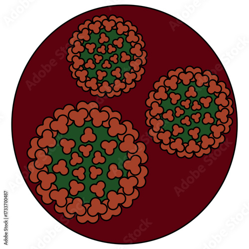 Three chikungunya viruses in a round cell. Round red-green togovirus transmitted by the bite of a female mosquito. Color vector illustration. Isolated on a white background. Cartoon.