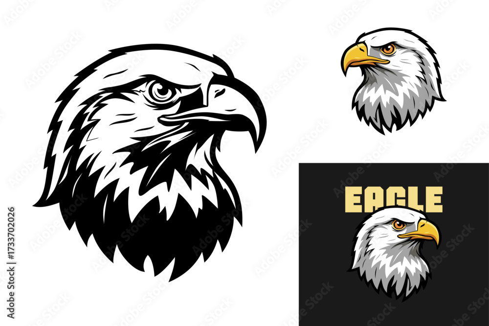 Fototapeta premium Eagle Head Vector Illustration Art