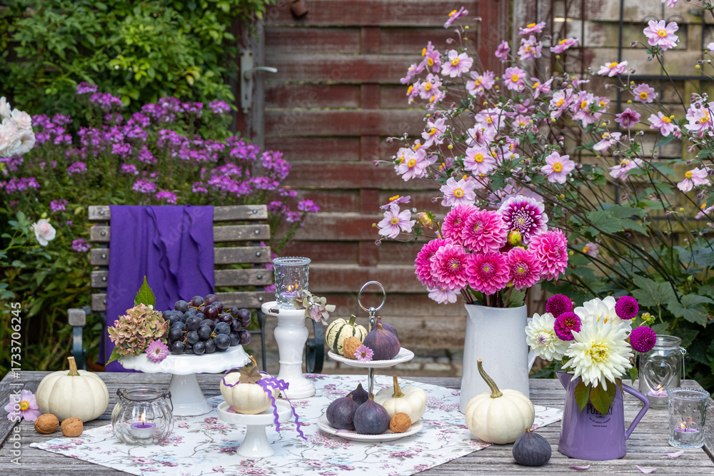 Fototapeta premium Tisch-Arrangement mit Dahlien-Blumensträußen, Feigen, Trauben und Kürbissen im Herbstgarten 