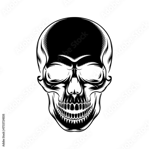 Skull and Vintage Tattoo T-shirt Vector Designs and Edgy, Punk-Inspired Graphics & Retro Tattoo Illustrations for Custom Graphic Tees-20