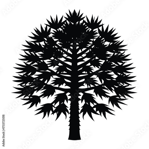 Black silhouette of a spiky tree leaves
