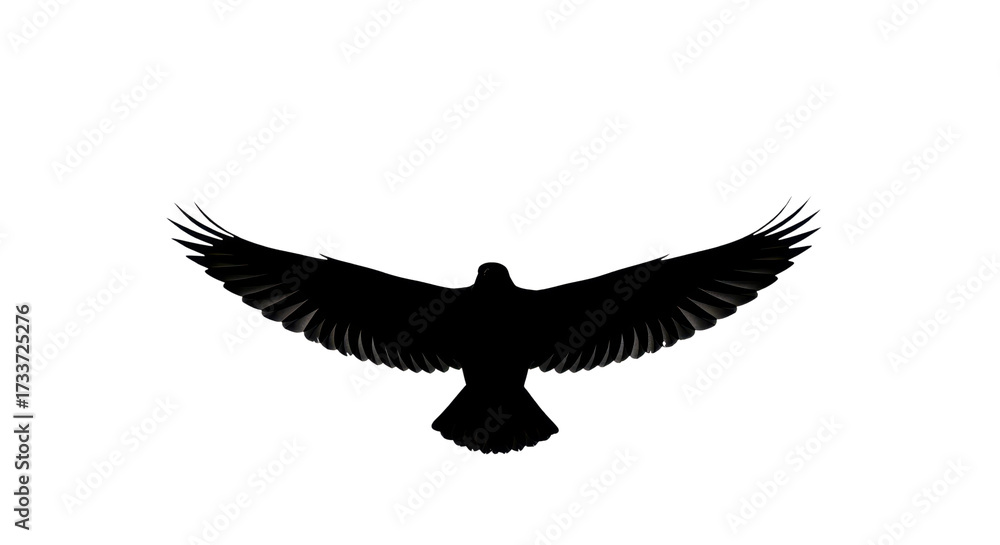 Naklejka premium Silhouette of a majestic eagle spreading its wings isolated PNG with Transparent Background