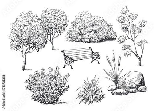 Vector Landscape Elements Set — Hand‑Drawn Sketch Style Isolated Objects Including Young Oak, Bushes, Daphne, Clematis, Park Bench, Stones, and Grass for Outdoor Designs