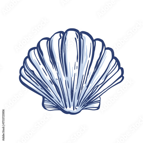 Seashell. Whimsical Hand Drawn Scallop seashell.  Isolated on white backdrop. Freehand outline ink scribble retro style. Outline modern style.