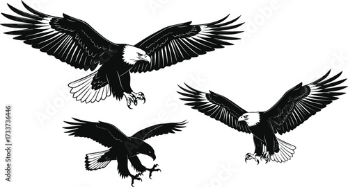 PrintEagle illustration, flying eagle, black and white eagle art, majestic bird, raptor drawing, wildlife s