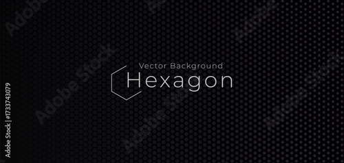 Black Hexagonal Background, Grey Hexagon Pattern, Dark Hex Wallpaper, Honeycomb Neo Material, Graphite Carbon Texture, Futuristic Perforated Surface, Abstract Geometric Backdrop. Vector Illustration