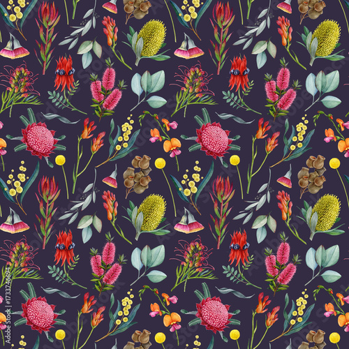 Australia native flora elements seamless pattern. Hand drawn waratah flower, banksia, golden wattle, grevillea, gum tree watercolor illustrations. Australian bright flowers on dark background