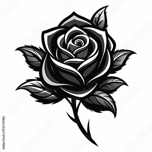 Black Rose vector, Black Rose concept,Black Rose cartoon,Black Rose icon,Black Rose art,
Black Rose topics,Black Rose doodle.