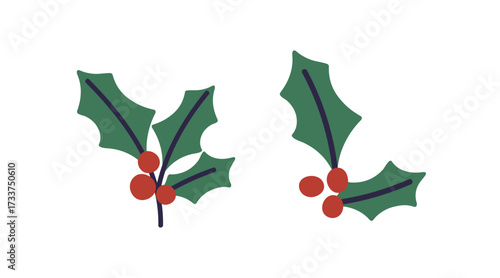 Holly branch with leaves and red berries. Traditional Christmas leaf plant sy...