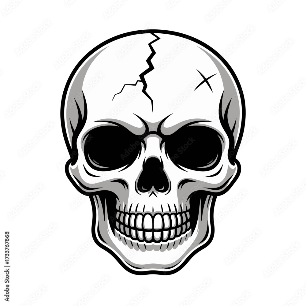 Fototapeta premium Human skull outline drawing, black ink style, minimal white background, anatomical head bones, vintage engraving vibe, vector illustration