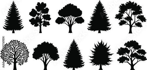 Silhouette tree shapes collection featuring diverse foliage, branching styles, seasonal contrast, botanical structure, nature design, landscape elements, and artistic reference