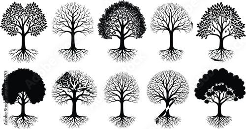Stylized tree silhouette set with diverse shapes, branching structures, seasonal foliage, artistic nature icons for design, ecology, and morphology studies