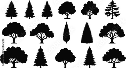 Tree silhouette grid with diverse canopy shapes, foliage styles, and species icons for nature, landscape, architecture, and botanical vector design