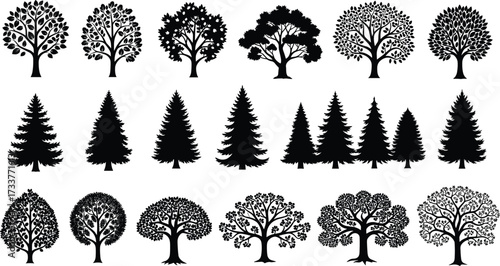 Tree silhouette set with coniferous and deciduous diversity, canopy shapes, foliage density, nature icons for ecology, design, and morphology studies