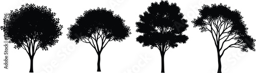 Tree silhouette set with varied canopy shapes, trunk styles, and foliage density for nature, landscape, botanical, and vector illustration design