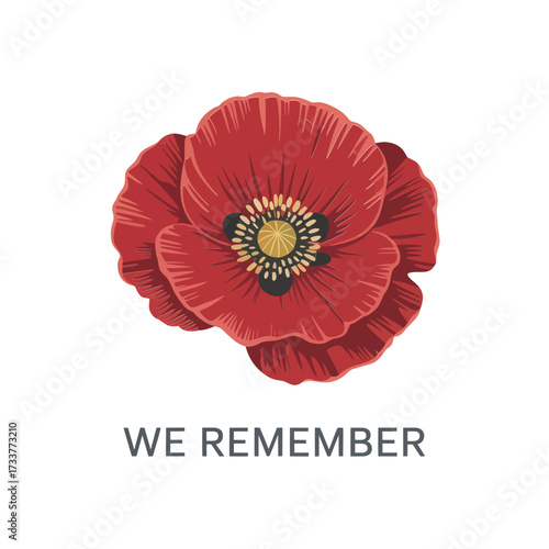 Remembrance poppy flower illustration, memorial tribute design, we remember message, veterans honor graphic, patriotic remembrance symbol, vector