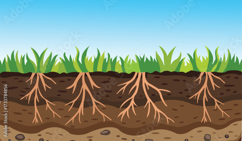 Soil layers with grass growing on top, roots visible underground, and stones at the bottom, representing a healthy ecosystem cartoon vector illustration