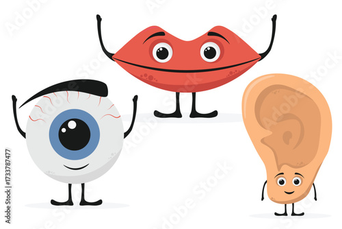 Stylish anatomical illustration design with smiling eyes, lips and ear.  suitable for childish game