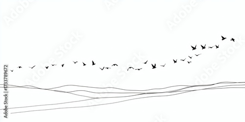 Silhouetted birds fly above the sketched horizon in black and white.
