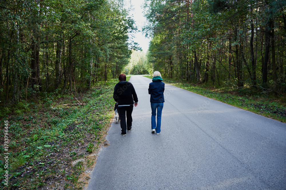 Fototapeta premium droga,spacer 