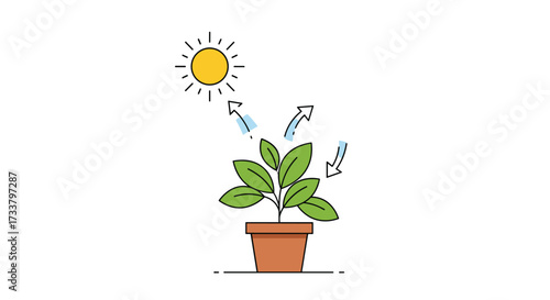 The process of photosynthesis in green plants converting light energy into chemical energy for growth.