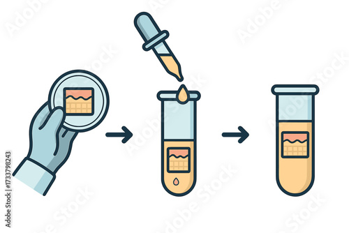 Artificial skin creation process. Biotechnology research. Regenerative medicine. Tissue engineering in test tube. Lab experiment. Cell culture in petri dish. Vector infographic.